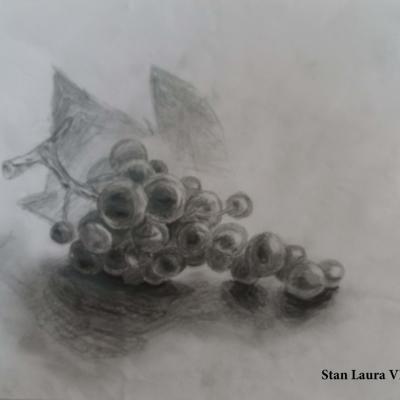 Fogarasy Rajzok Osszes Page 38